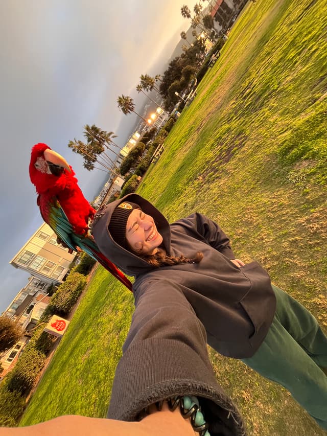 Nefise Akcakir profile photo