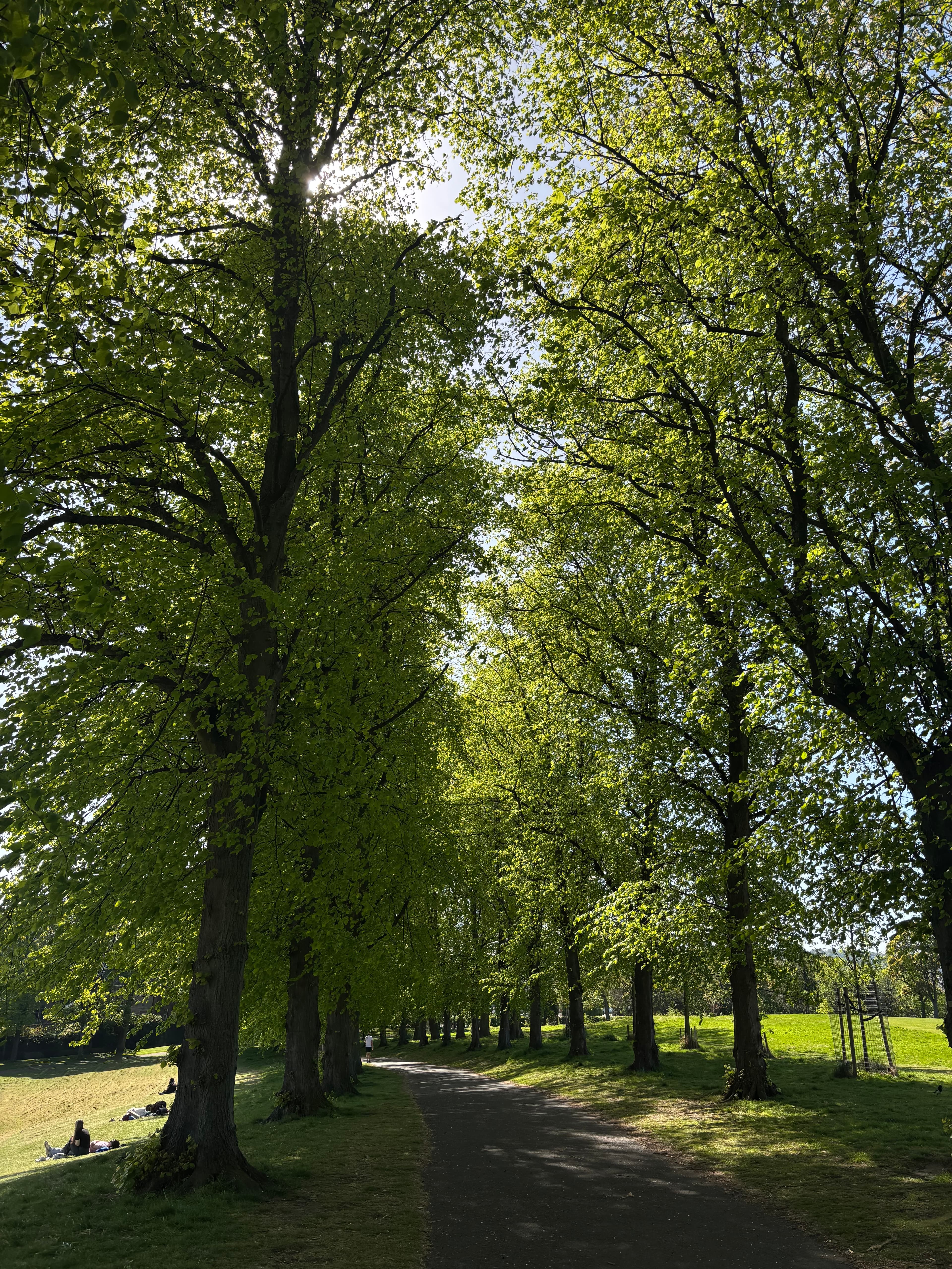 Clara Caden banner image