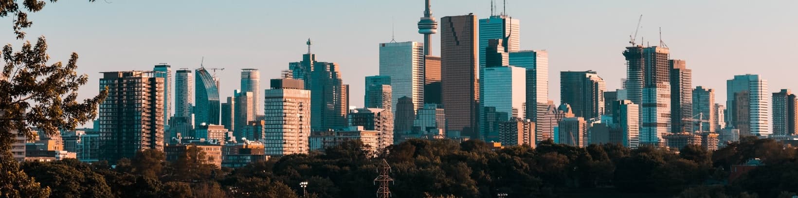 Sip & Scale Toronto banner image