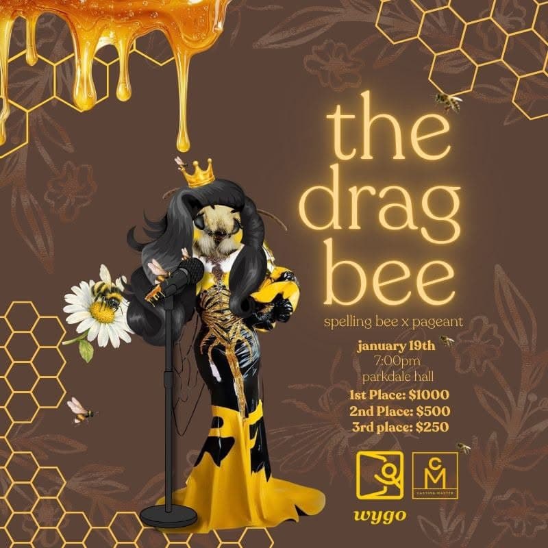 the drag bee πβ¨ cover photo